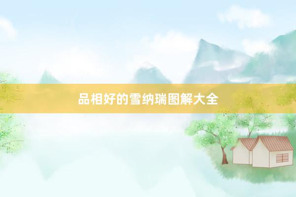 品相好的雪纳瑞图解大全